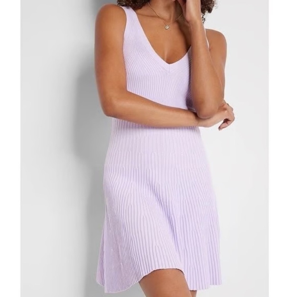 Express Lavender Ribbed knit Dress